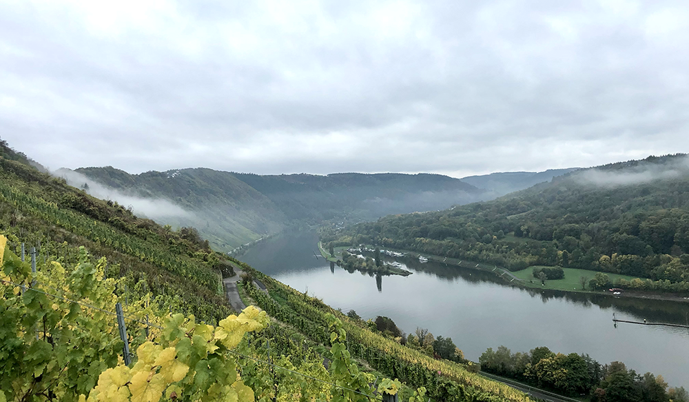 Mosel Herbst